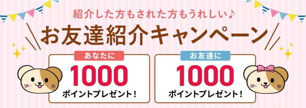 セシール　友達紹介キャンペーン