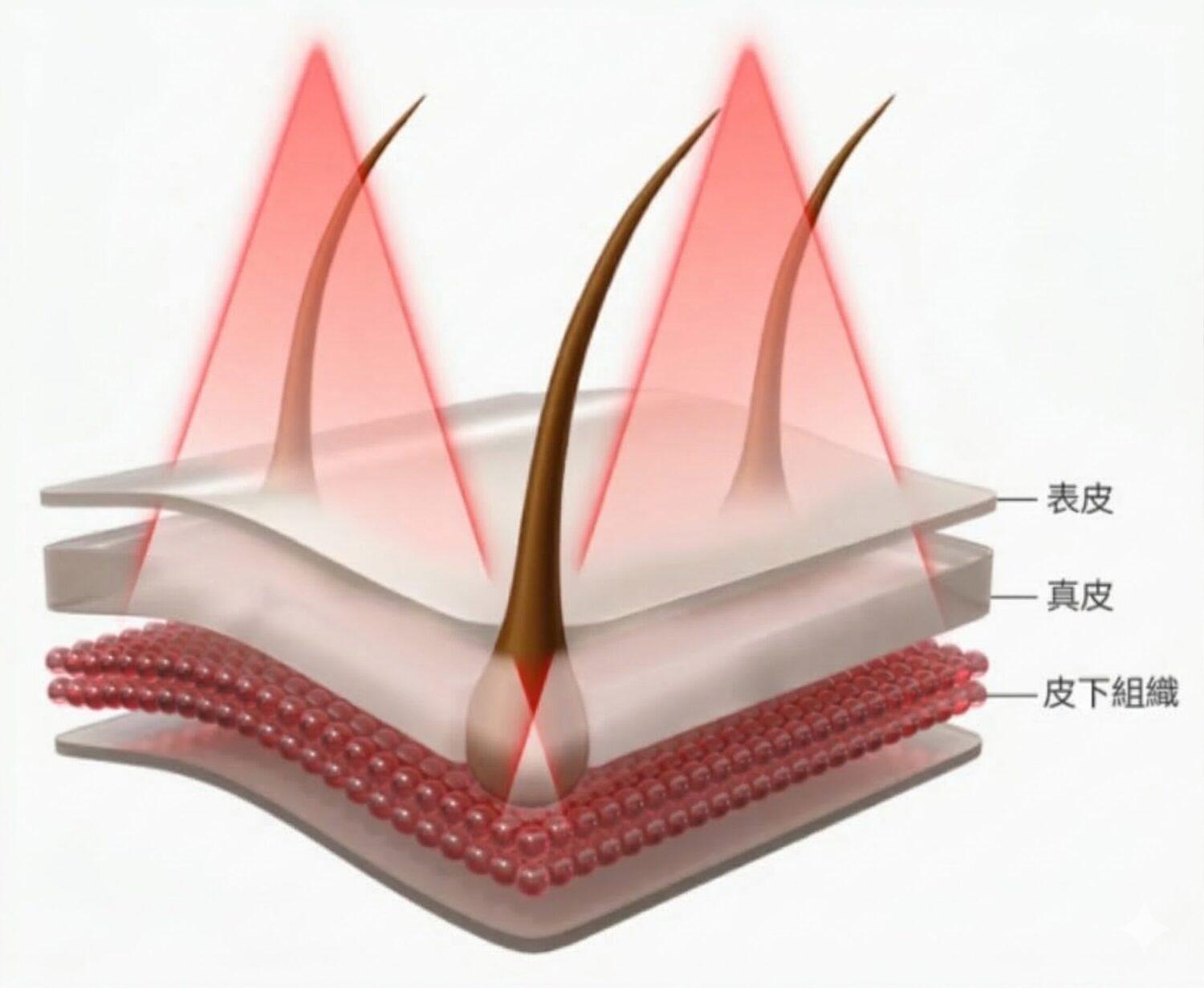 カレントボディ「LED 頭皮・頭髪ケアデバイス」育毛